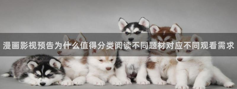 樱花日语视频教程